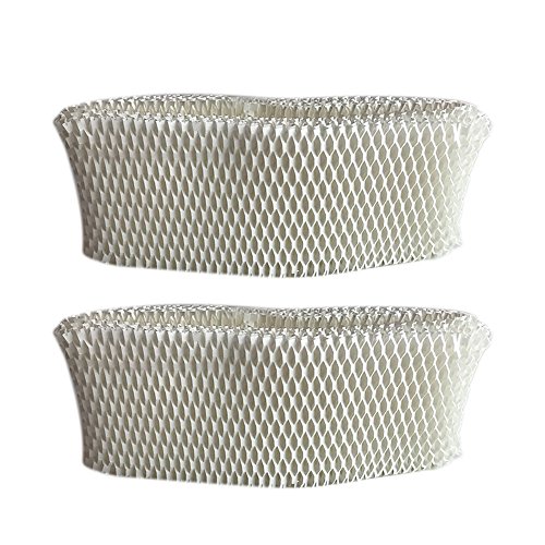 Think Crucial 2 Replacements Holmes HWF62 Humidifier Filter Fits HM1701  HM1761  HM1300 & HM1100  Compatible Part # HWF62 - B00R3466UE